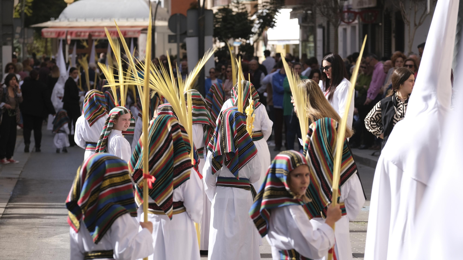Imágenes de la Procesión de la Borriquita de Almería
