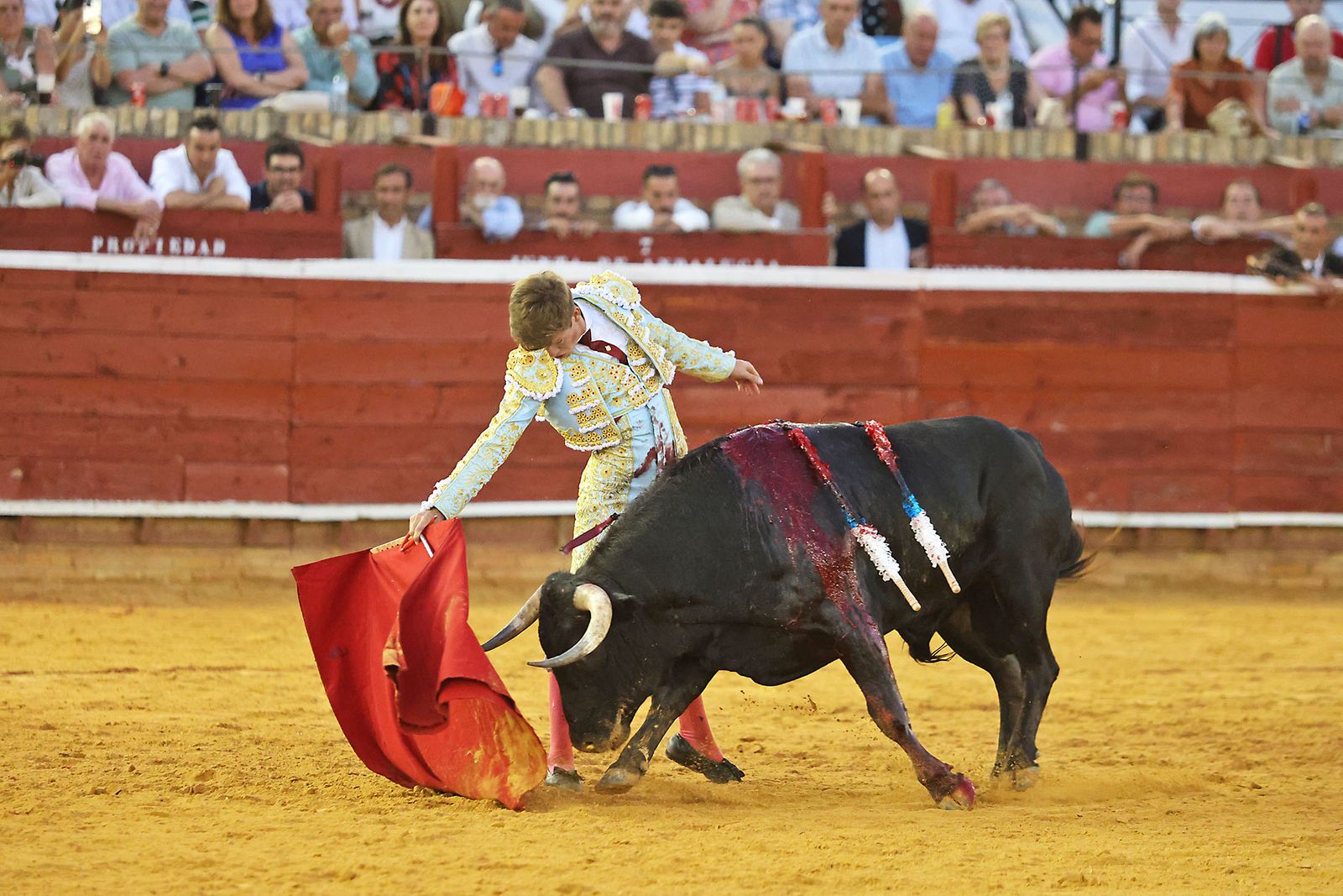 Toros La Merced 2024 Novillada con picadores(