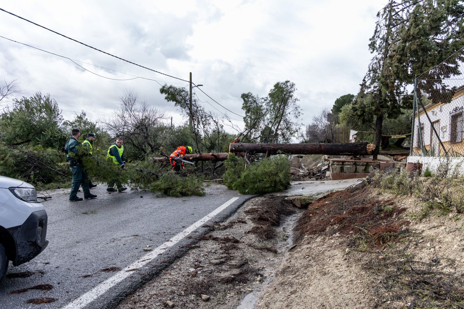 Así queda Monte Lope Álvarez después de la tromba de agua caída