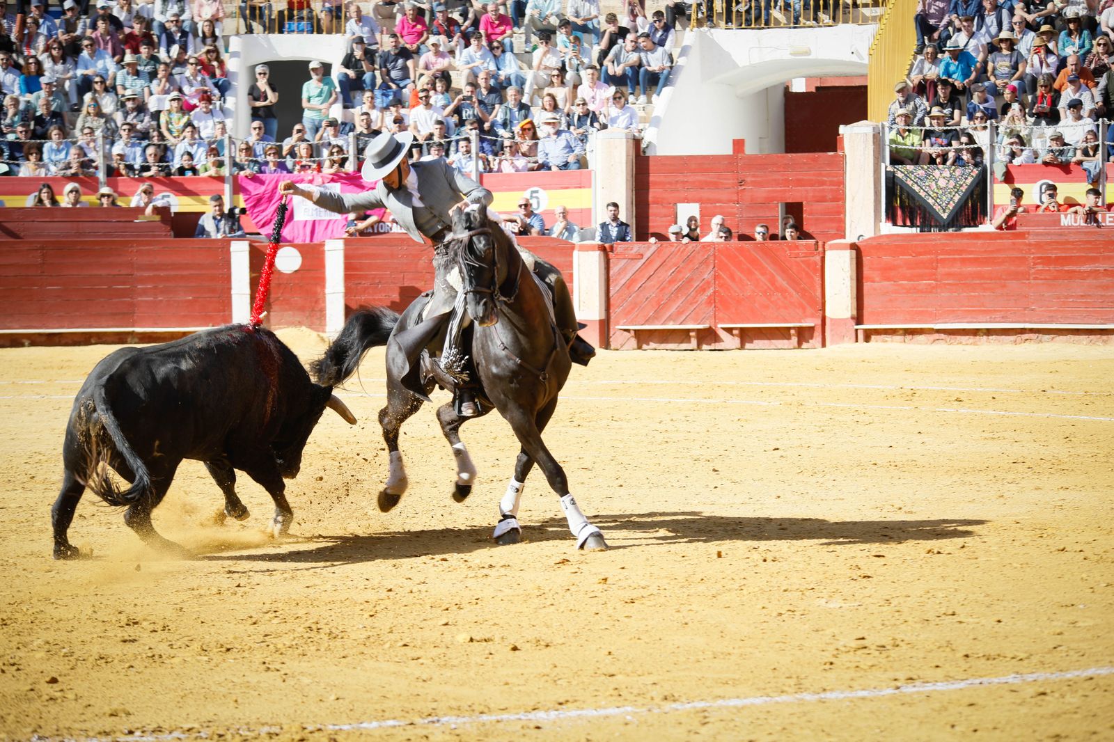 Imágenes del festival mixto lucha contra el cáncer