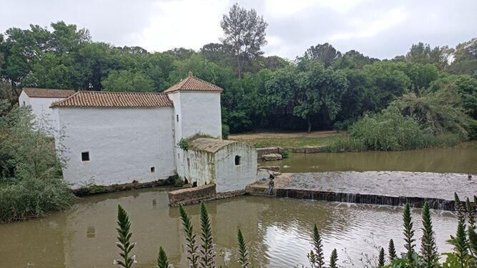 Ruta de los Molinos de Alcalá de Guadaíra