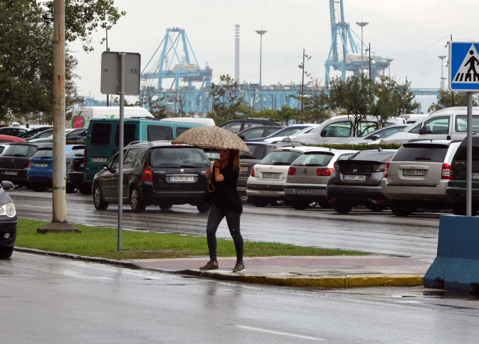 Paraguas en la avenida Virgen del Carmen de Algeciras.