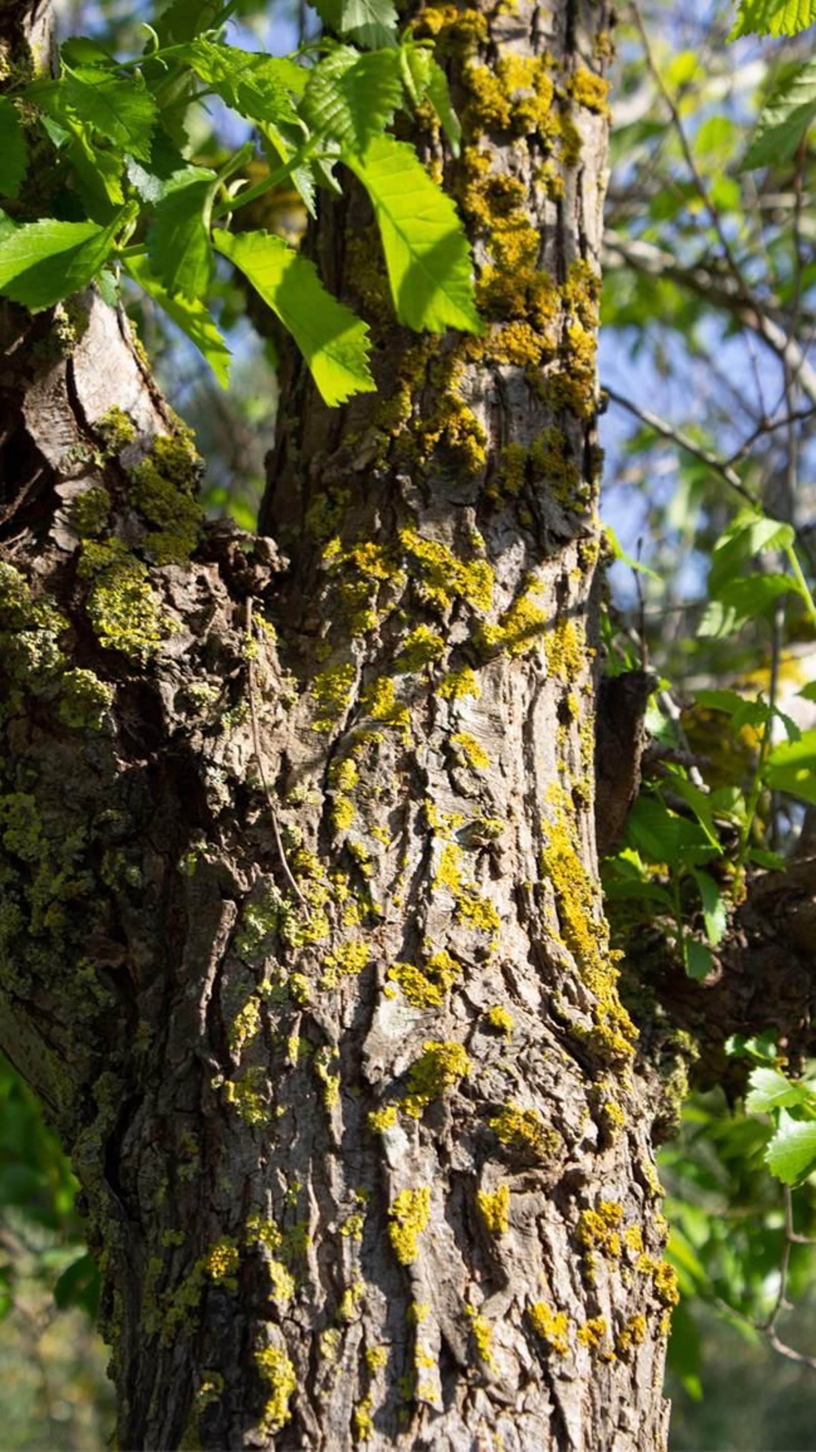 Fotos del parque municipal El Torrejón