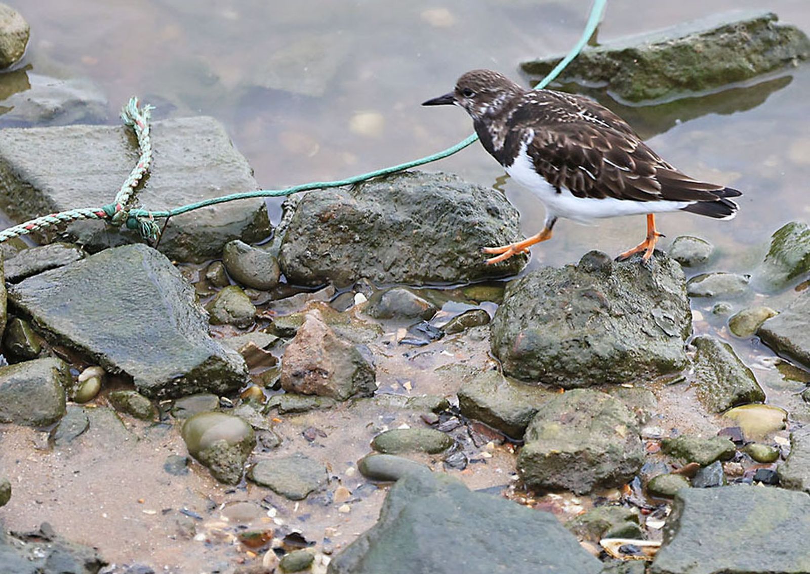 Las imágenes más destacadas del jueves 13 de marzo en Huelva
