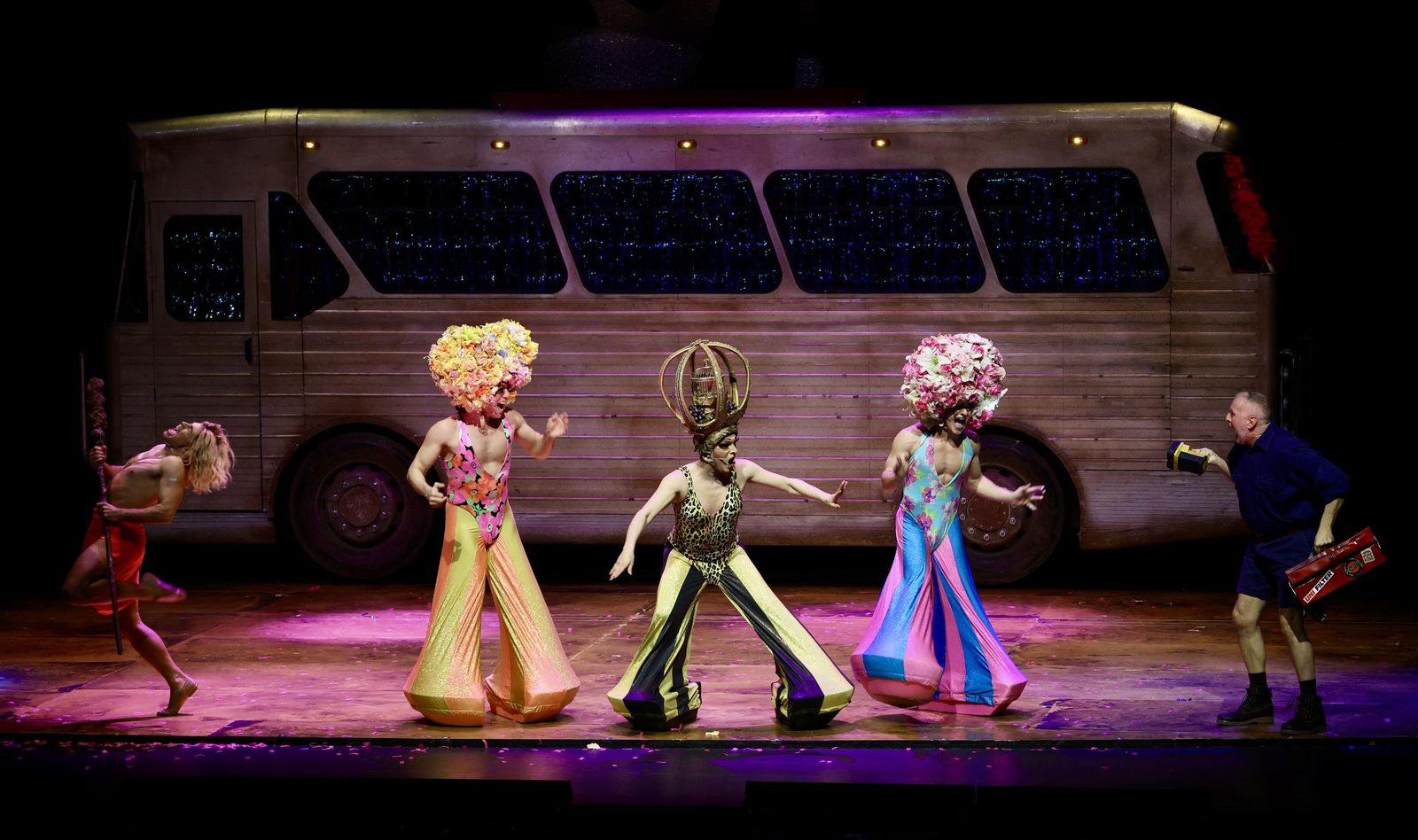 PRISCILLA, Reina del desierto