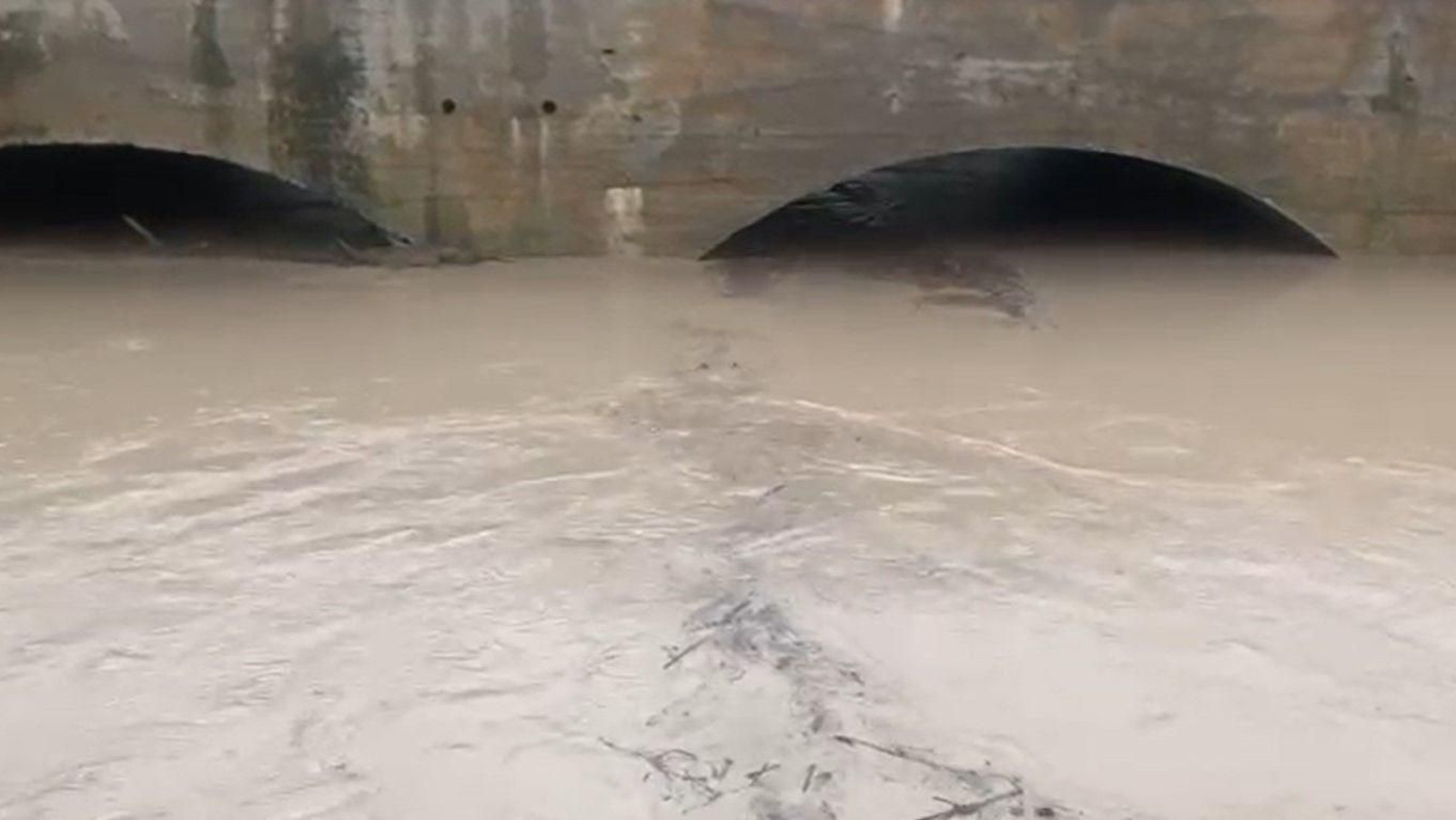 Día después de la tromba de agua en Estella del Marqués en Jerez.