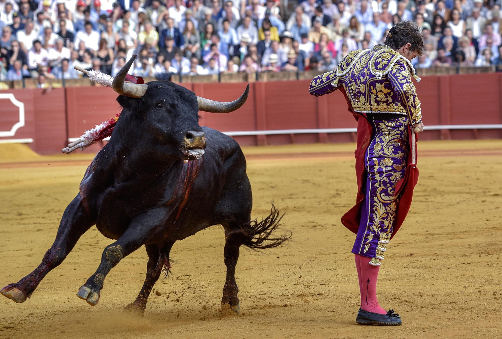 Las imágenes de la 14ª de abono de la Maestranza