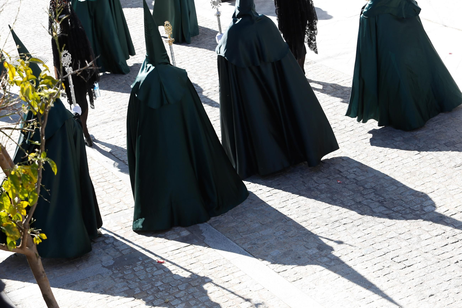 Fotos del Viernes Santo en San Roque: Magna