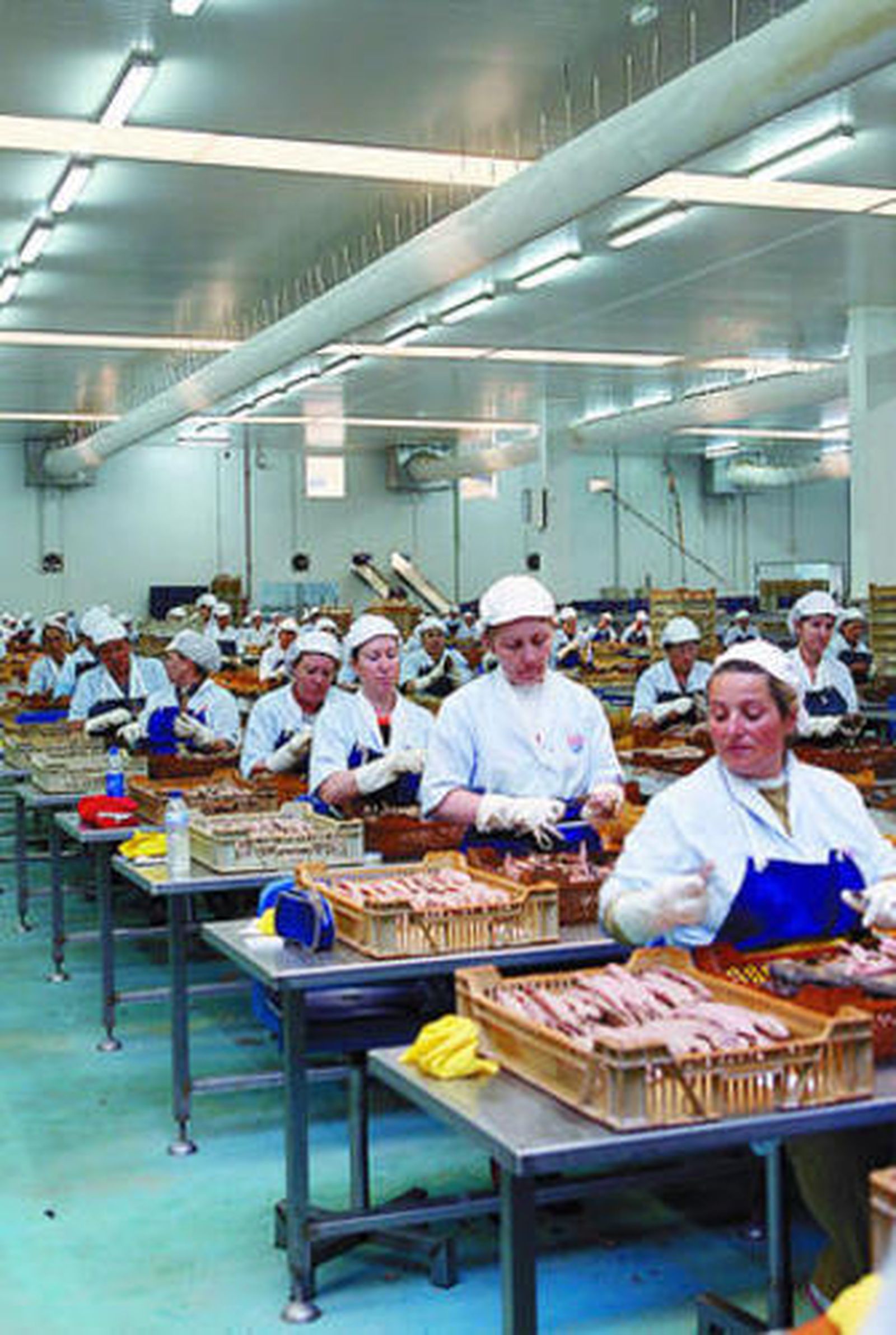 Interior de la fábrica de conservas de Usisa, en Isla Cristina (Huelva).