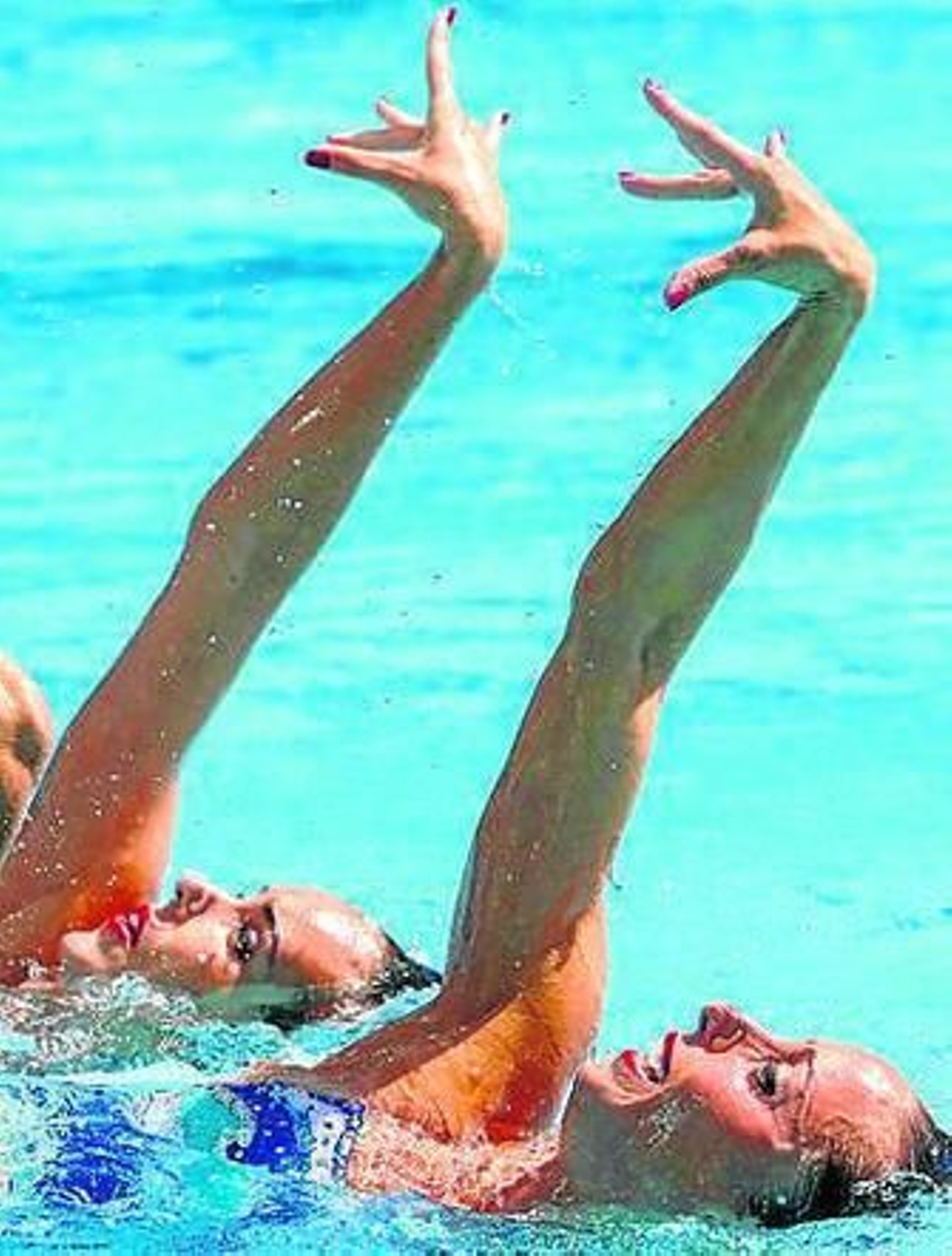 Carbonell y Mengual.