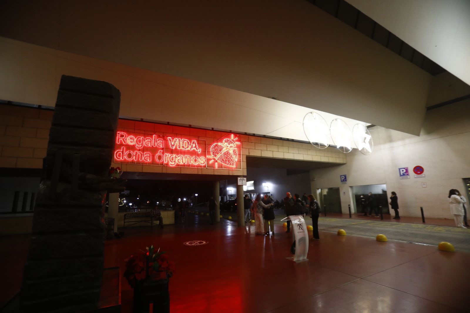 El Hospital Reina Sofía enciende la Navidad, en imágenes