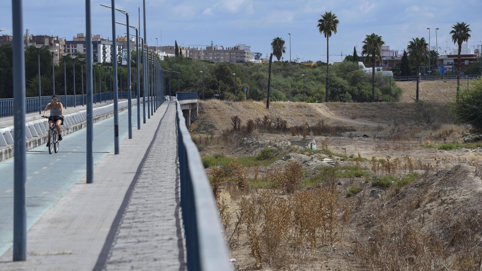 Una mujer en bici circula por una pasarela sobre la dehesa.
