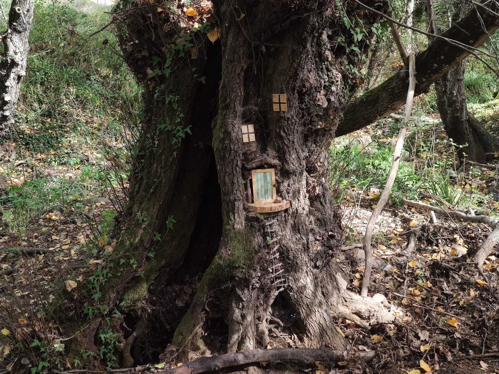 Una ruta familiar que enamora: el Bosque de las Letras en Santa Ana la Real