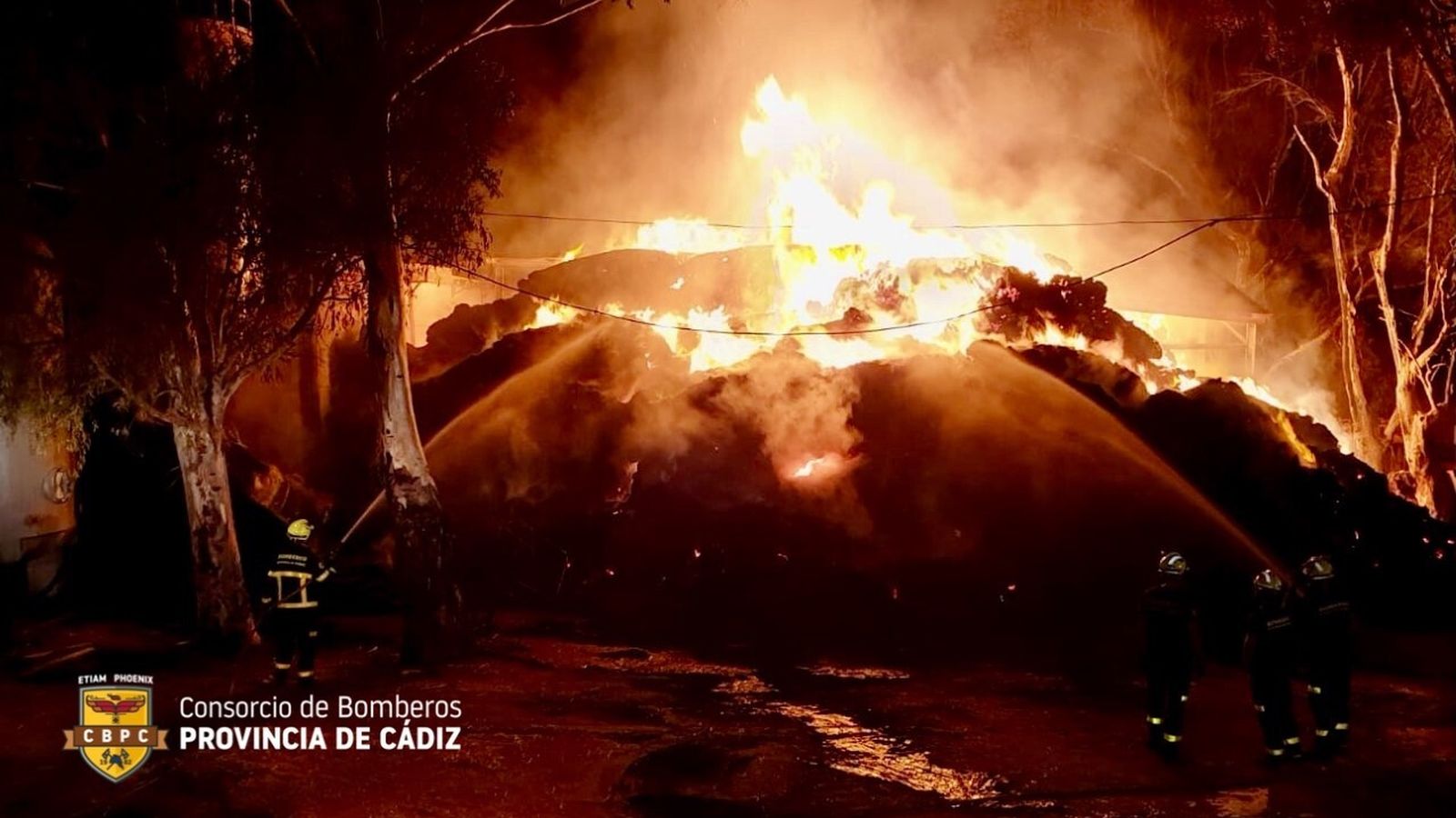 Los bomberos, de madrugada, durante las tareas de extinción