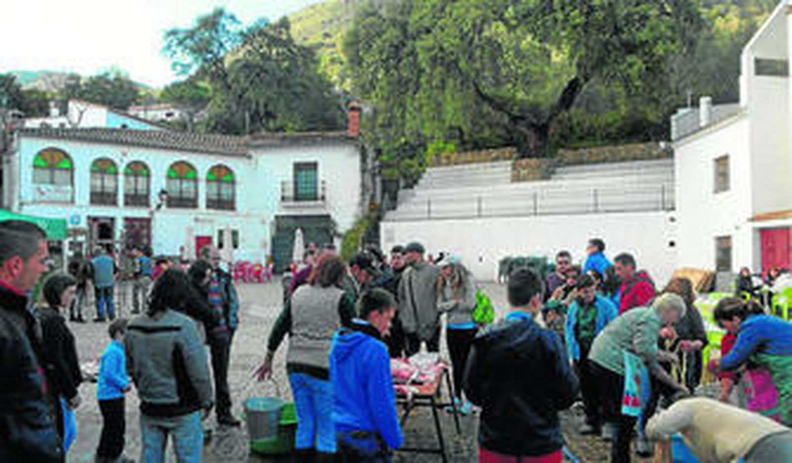 1. En pleno proceso de la matanza en la plaza de toros de Linares de la Sierra. 2. Realizando el despiece del animal. 3. Un grupo de mujeres lavando tripas y preparando morcilla tontas. 4 y 5. Mujeres elaborando chorizos, utilizando para ello una máquina para rellenar las tripas del cerdo.