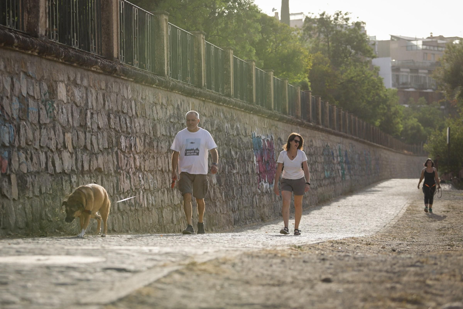 Las mejores imágenes del baño prohibido en Granada: el río Genil como refugio contra el calor