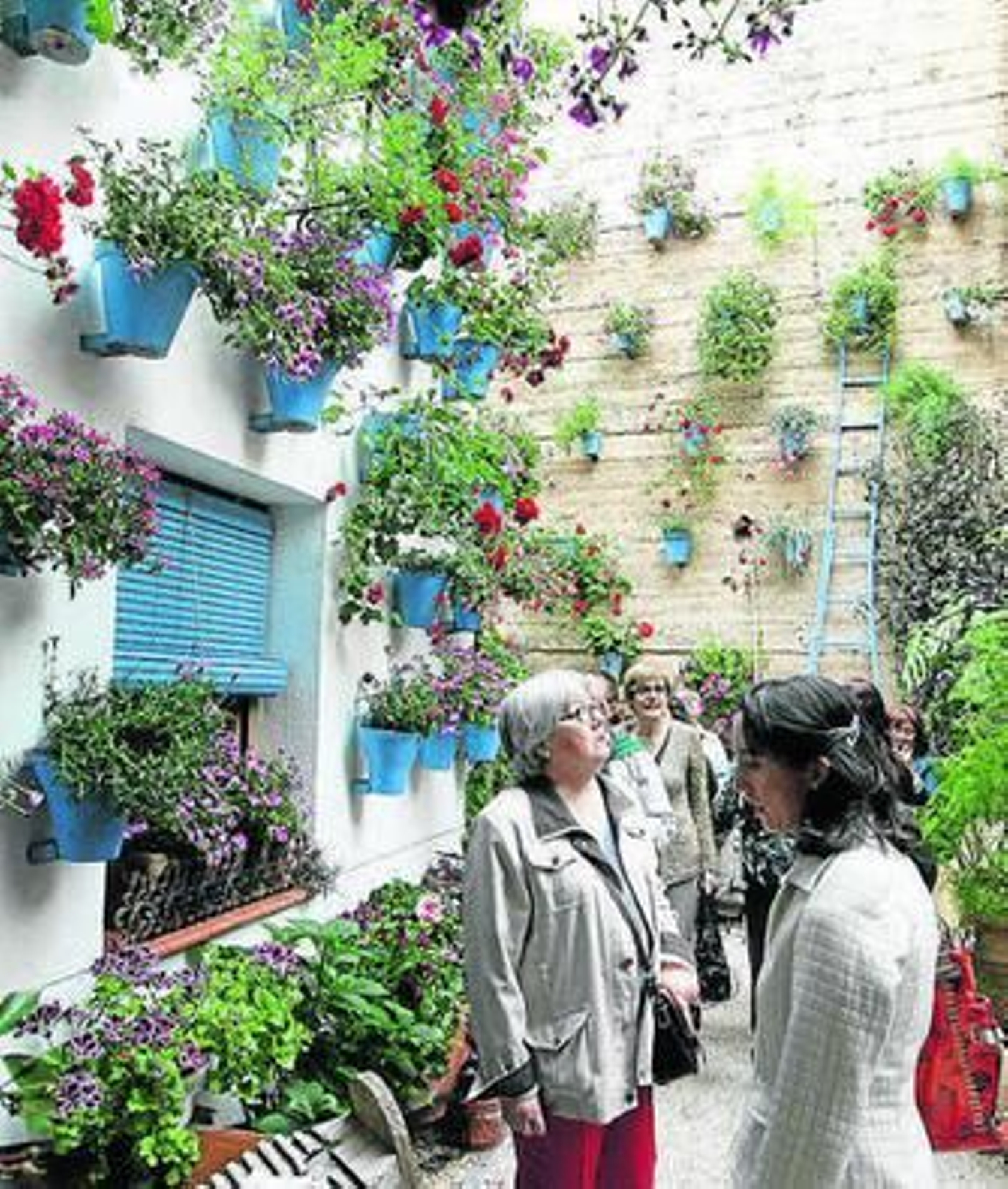 Patios de Martín de Roa, 2, uno de los ganadores del concurso.
