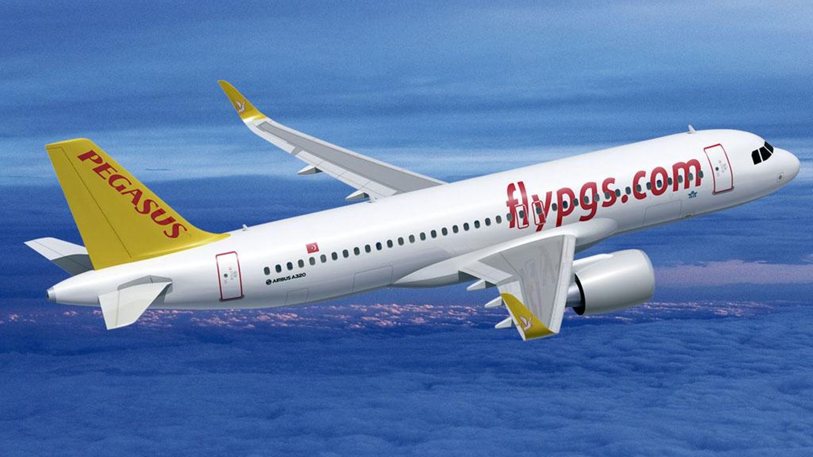 Uno de los aviones de la aerolínea Pegasus.