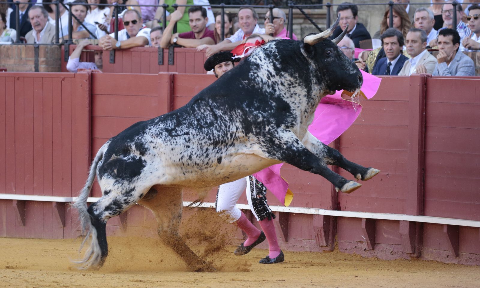 Feria de San Miguel | Tercer y último festejo del ciclo