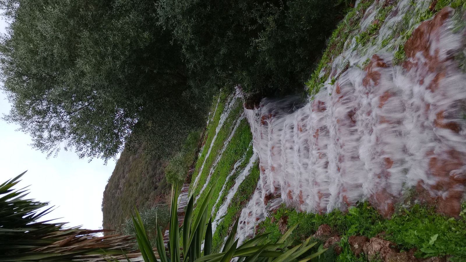 Fotografías de la Peña de Arias Montano en Alájar tras las últimas lluvias 