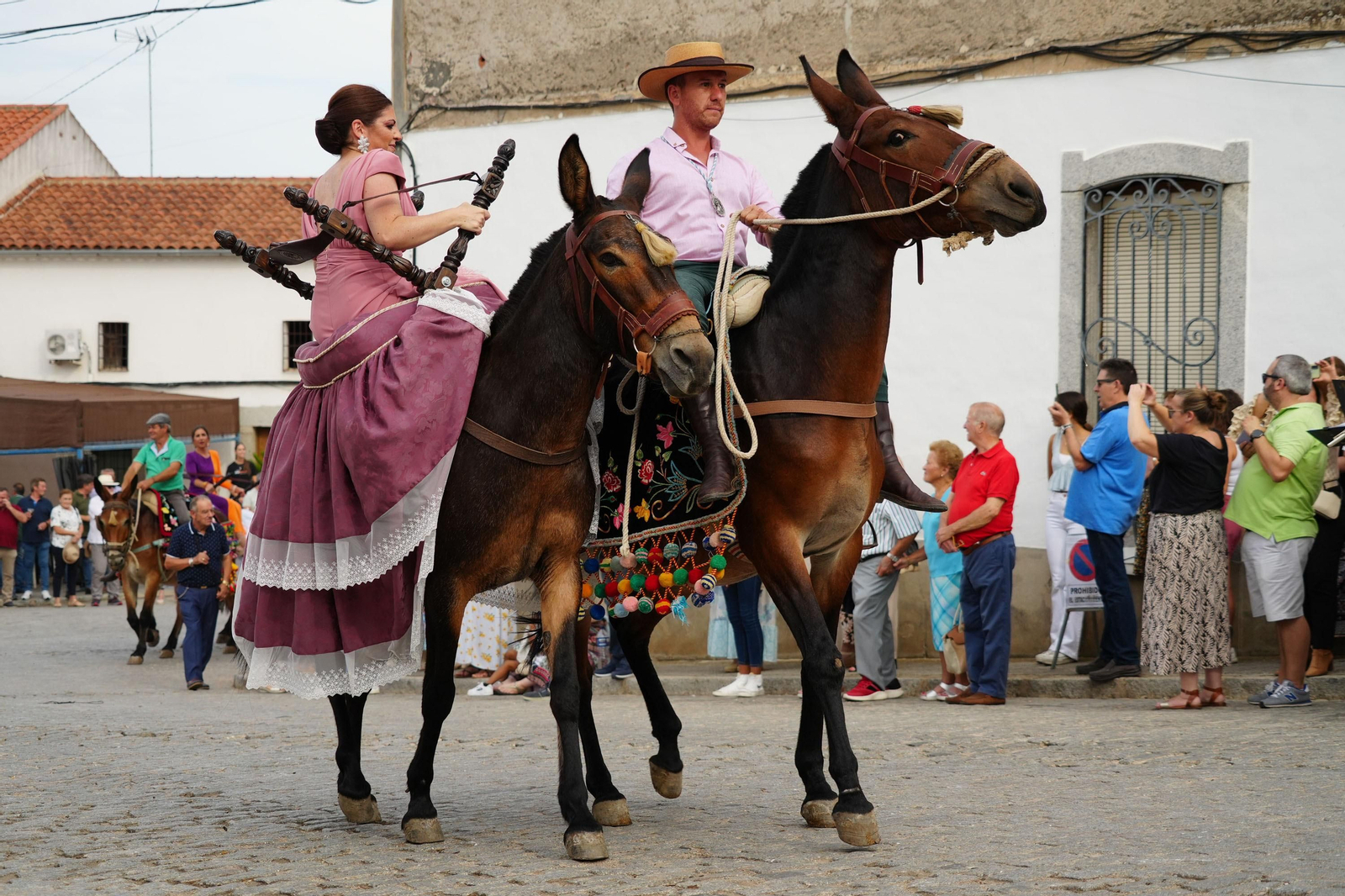Las mejores imágenes de la Fiesta de los Piostros de Pedroche, la mayor concentración equina de Andalucía