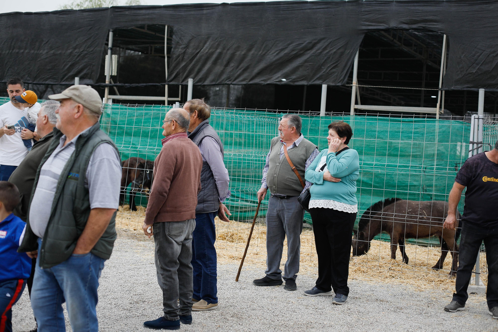 Galería de la Feria  de ganado en Tarambana