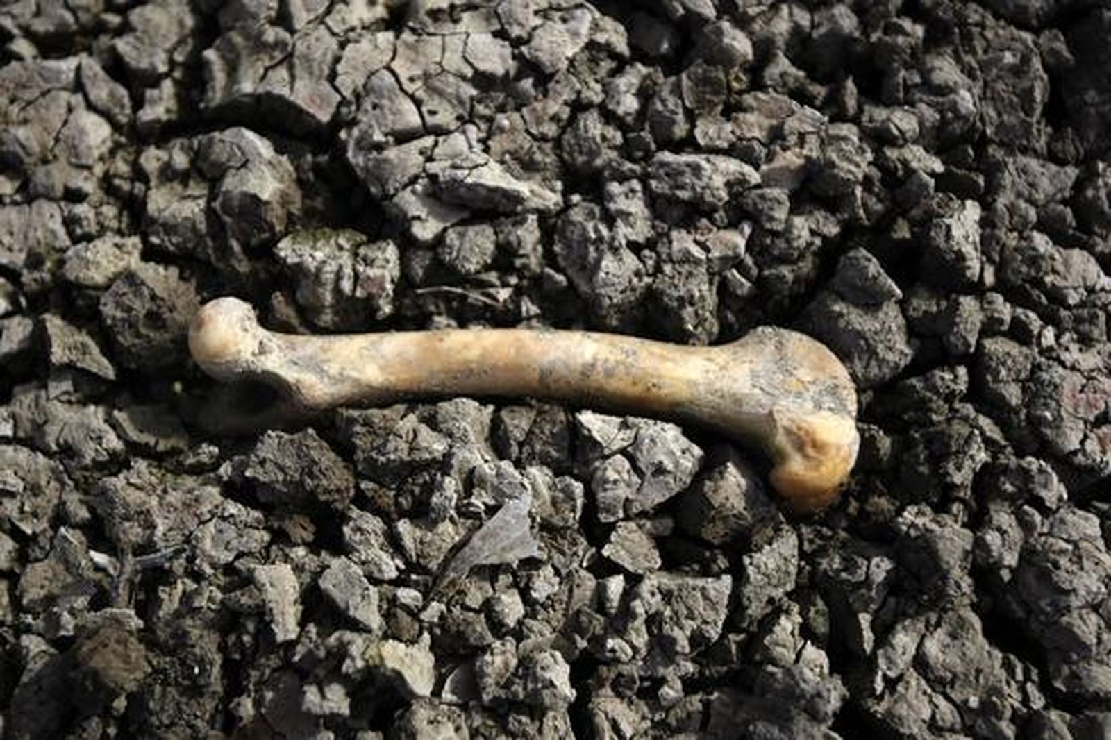 Un hueso en Los Tollos. 

Foto: Fito Carreto