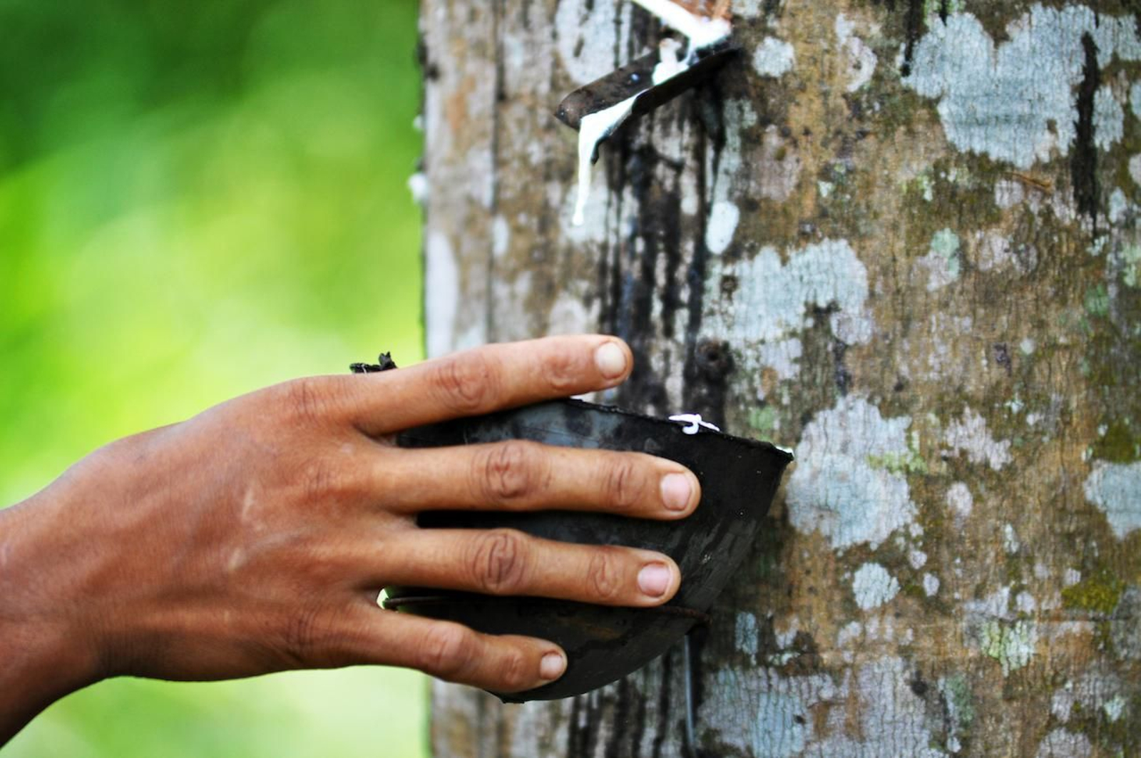 BMW muestra su lado más ‘verde’