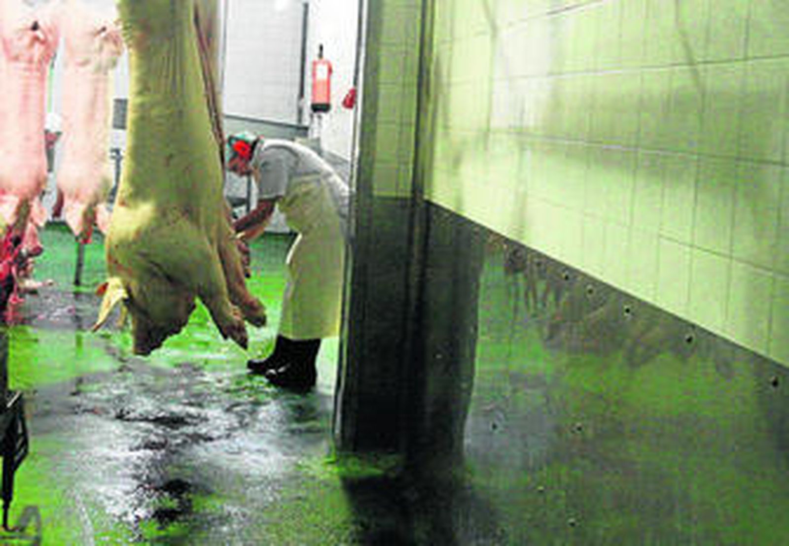 Instantánea tomada ayer en el matadero, donde se recuperó la actividad.