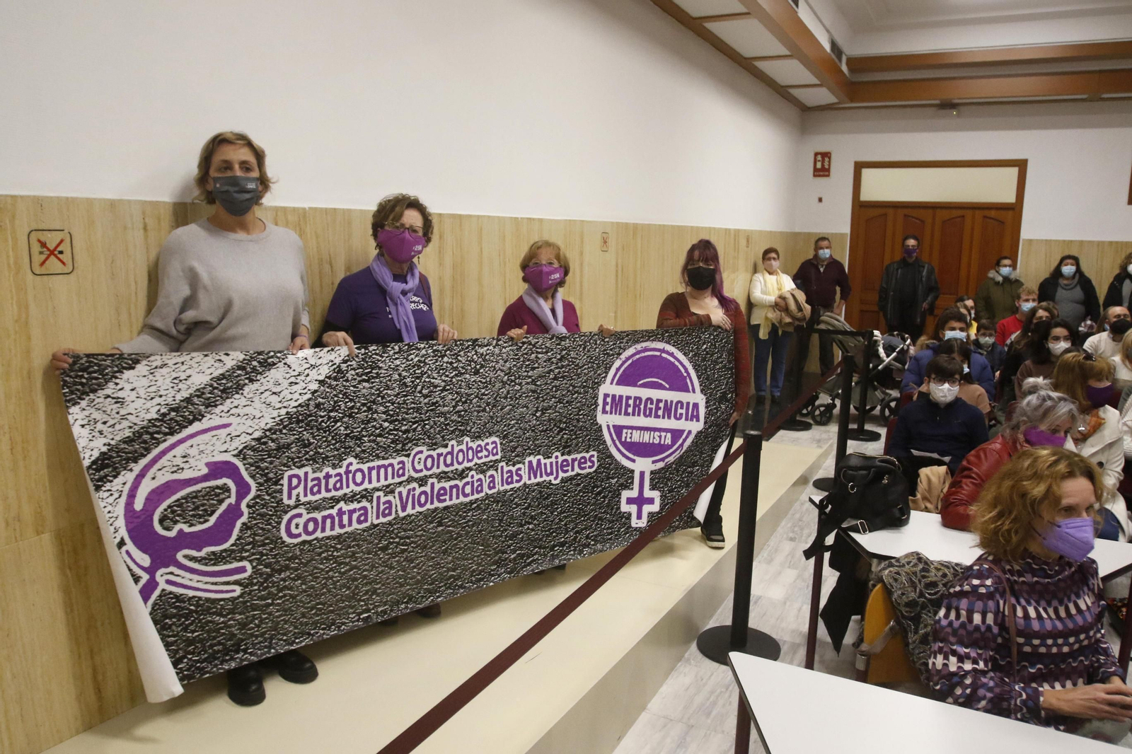 Pleno extraordinario por el Día Internacional de la Eliminación de la Violencia contra la Mujer.