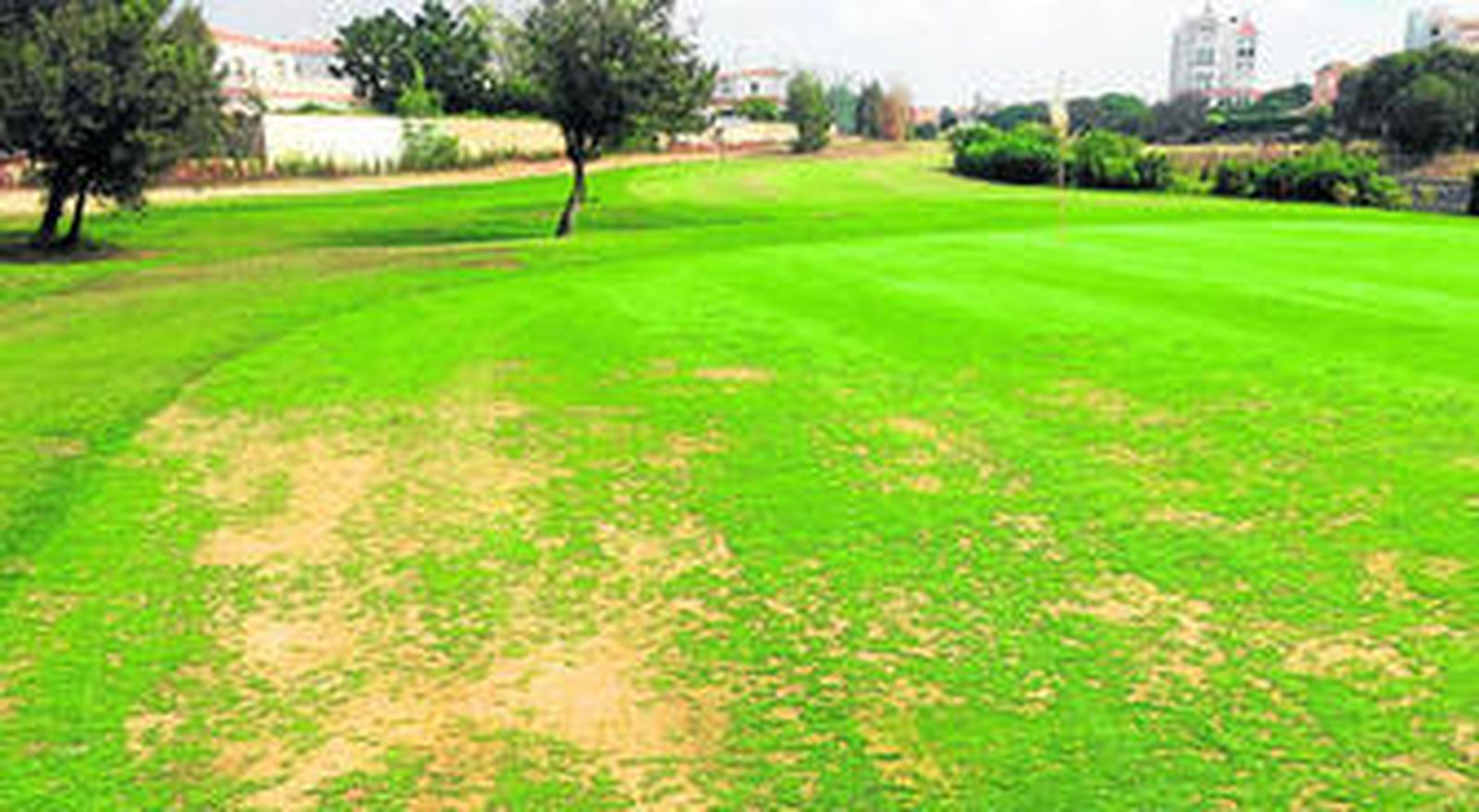 La imagen del terreno deja patente la falta de agua en las zonas de riego.