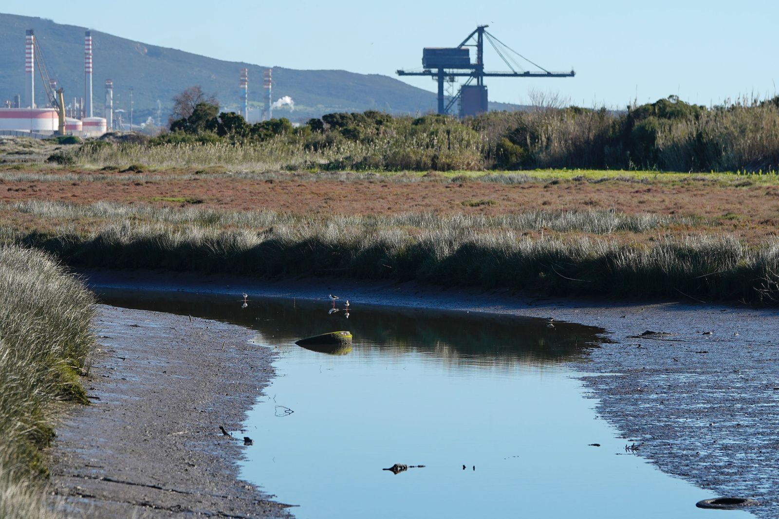 Fotos de la contaminación en el paraje natural marismas del Río Palmones