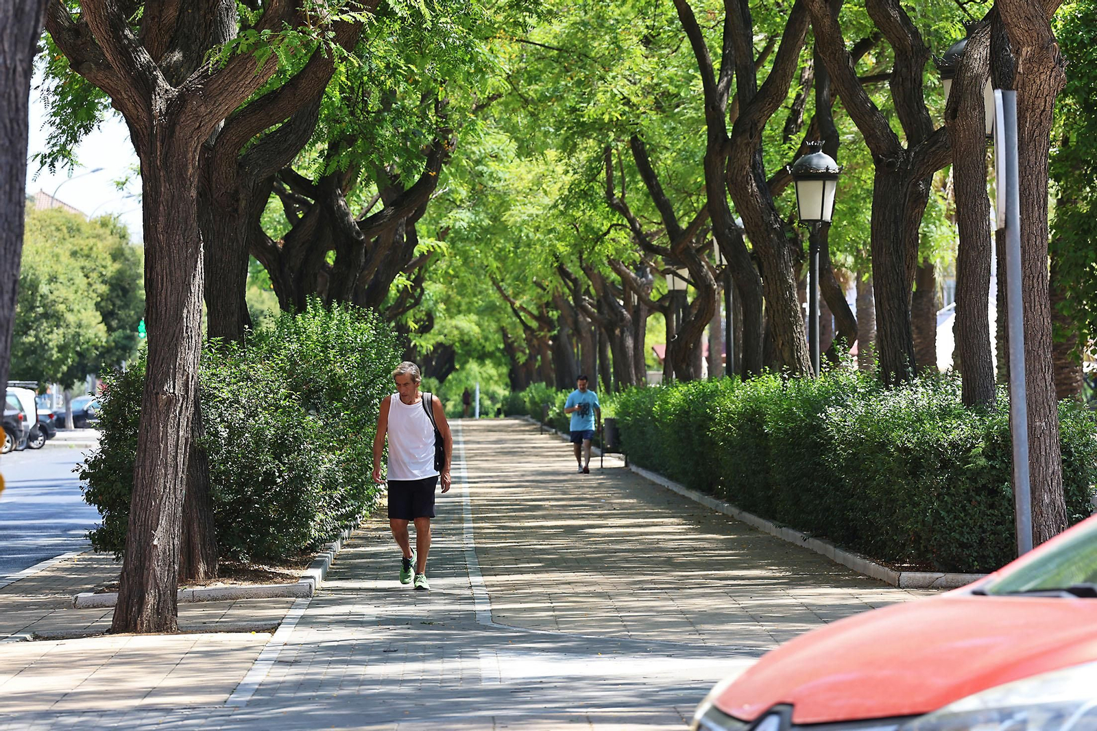 Imágenes de la Avenida de Andalucía en las mañanas de verano