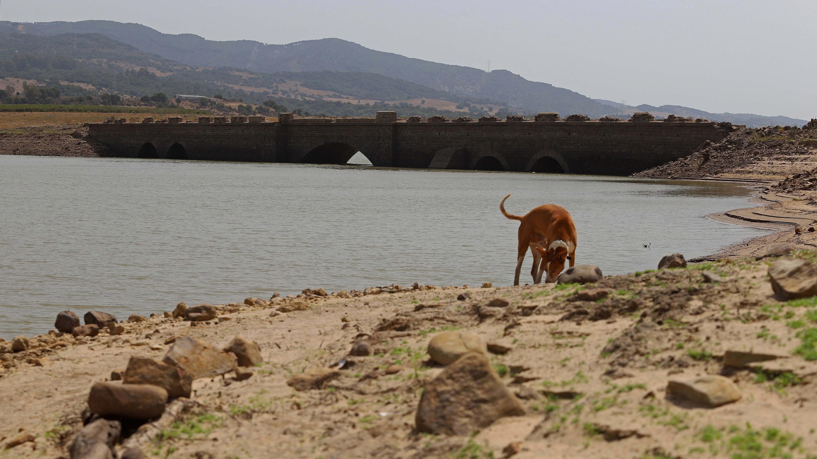 Fotos del embalse de Charco Redondo al 31 % de su capacidad Fotos del embalse de Charco Redondo al 31 % de su capacidad