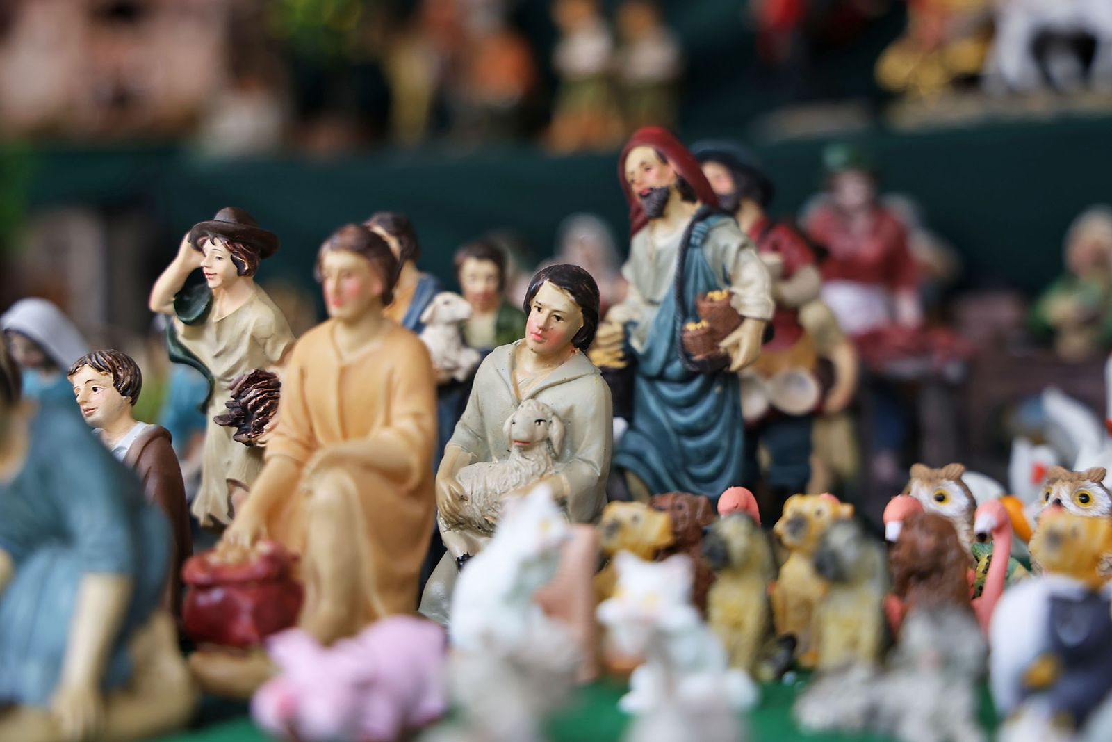 Las imágenes más destacadas del domingo 1 de diciembre en Huelva