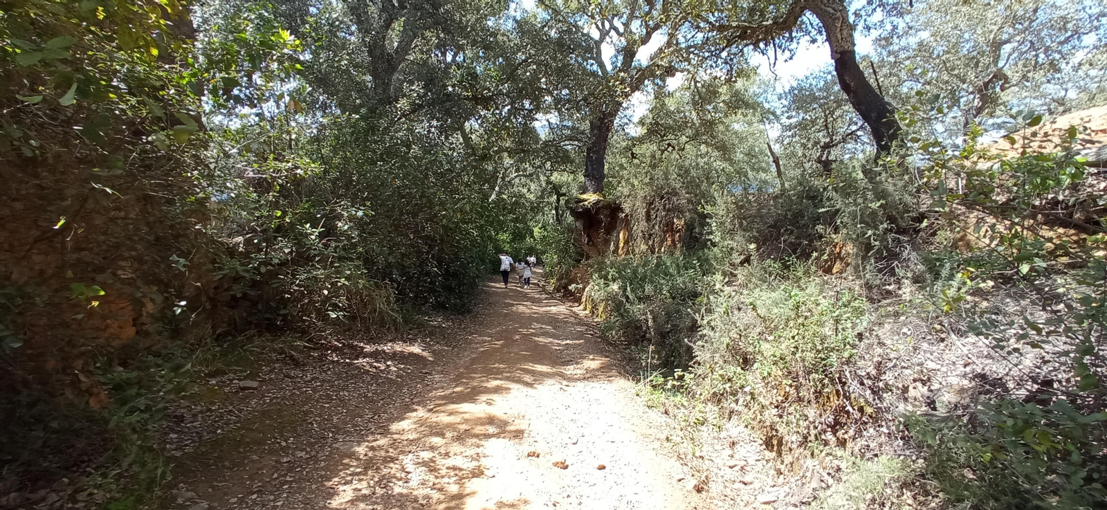 Las imágenes de la ruta de las casas de los Tres Cerditos