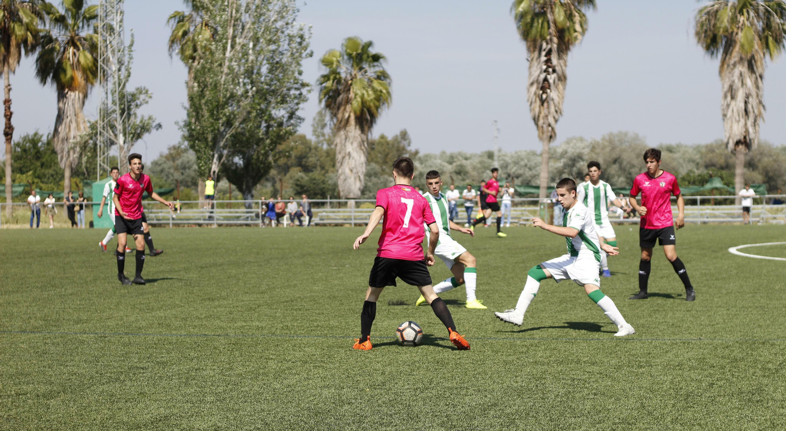 Dos jugadores del Córdoba presionan a uno del Pozoblanco.