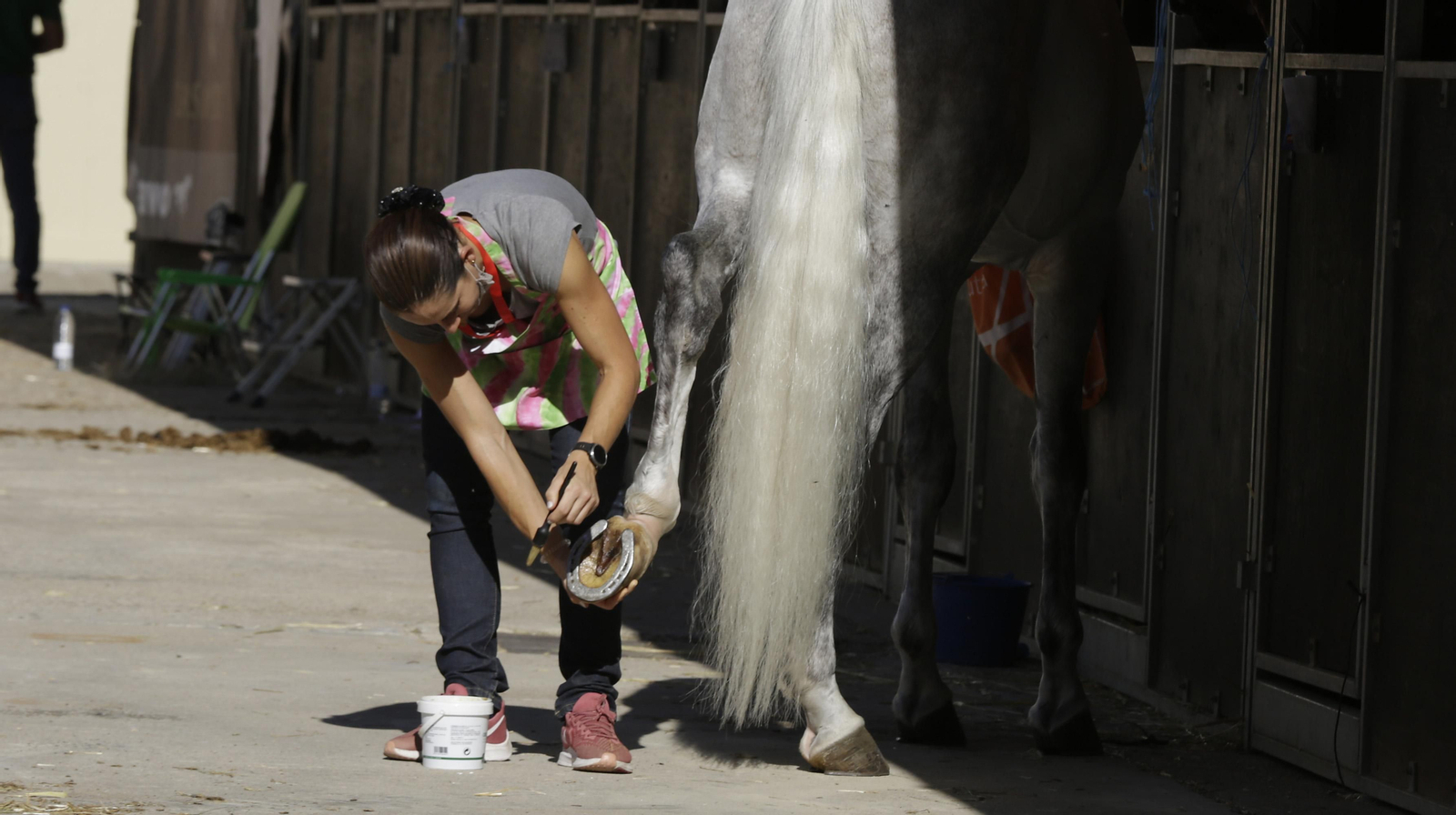 Imágenes del Sicab 2020 en su primer día