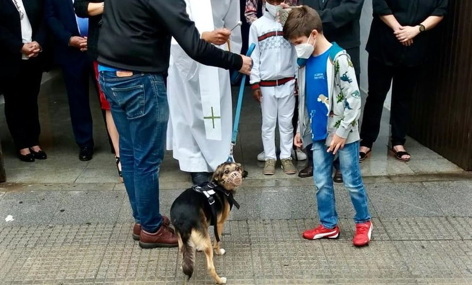 Bendición a un perro el pasado año.