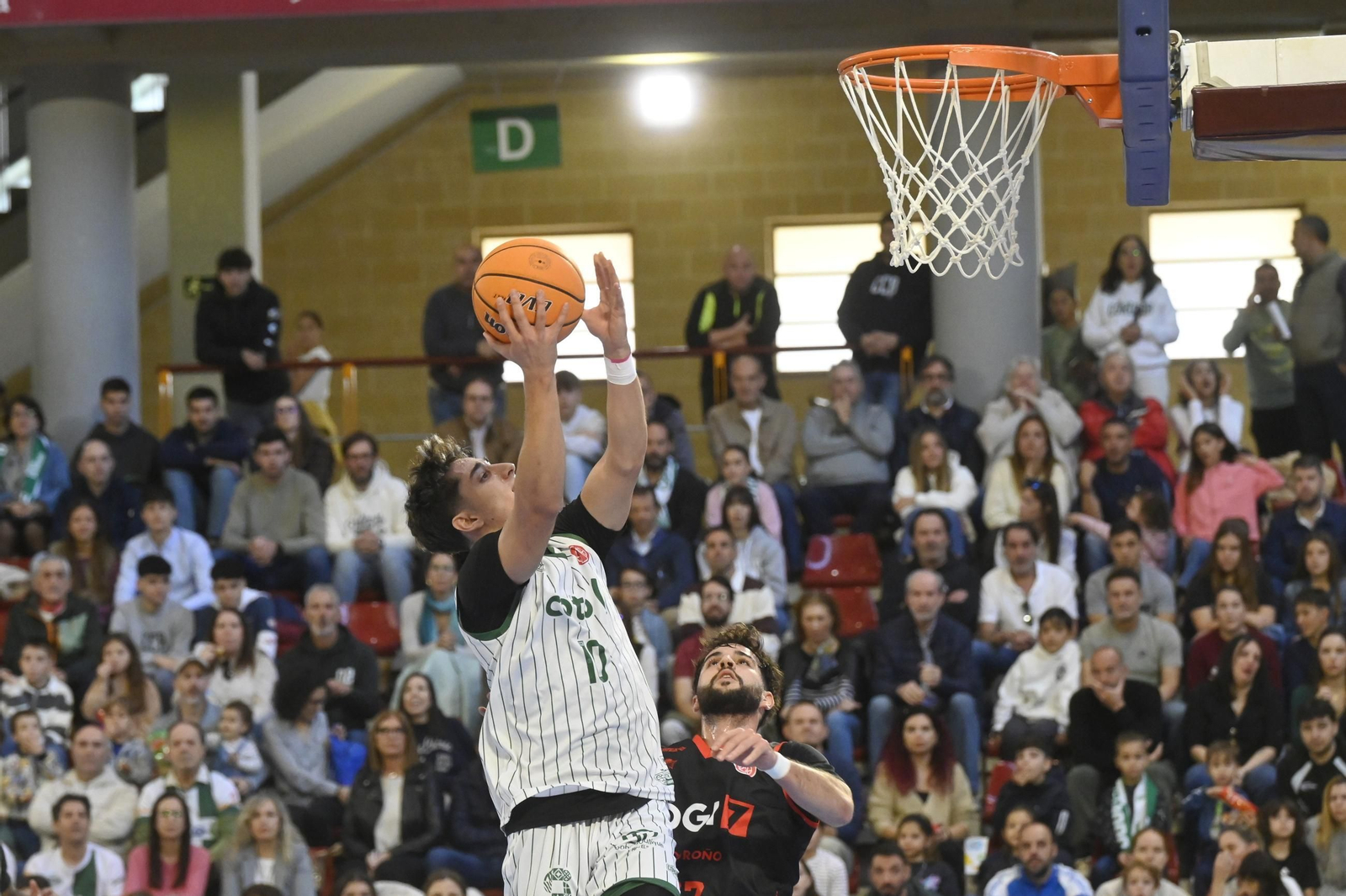 Las mejores fotos del ambiente en Vista Alegre para el Coto Córdoba - Logrobasket