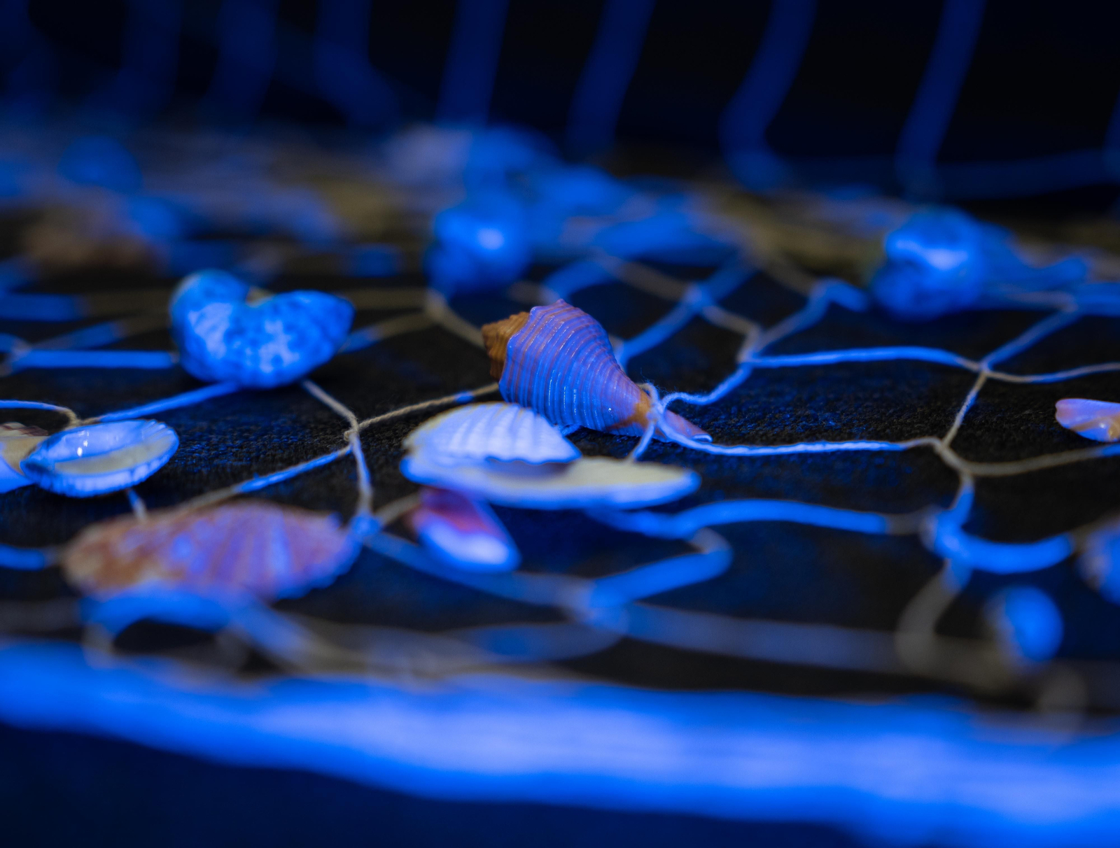 Las mejores imágenes del III Foro de Turismo Marinero celebrado en Isla Cristina