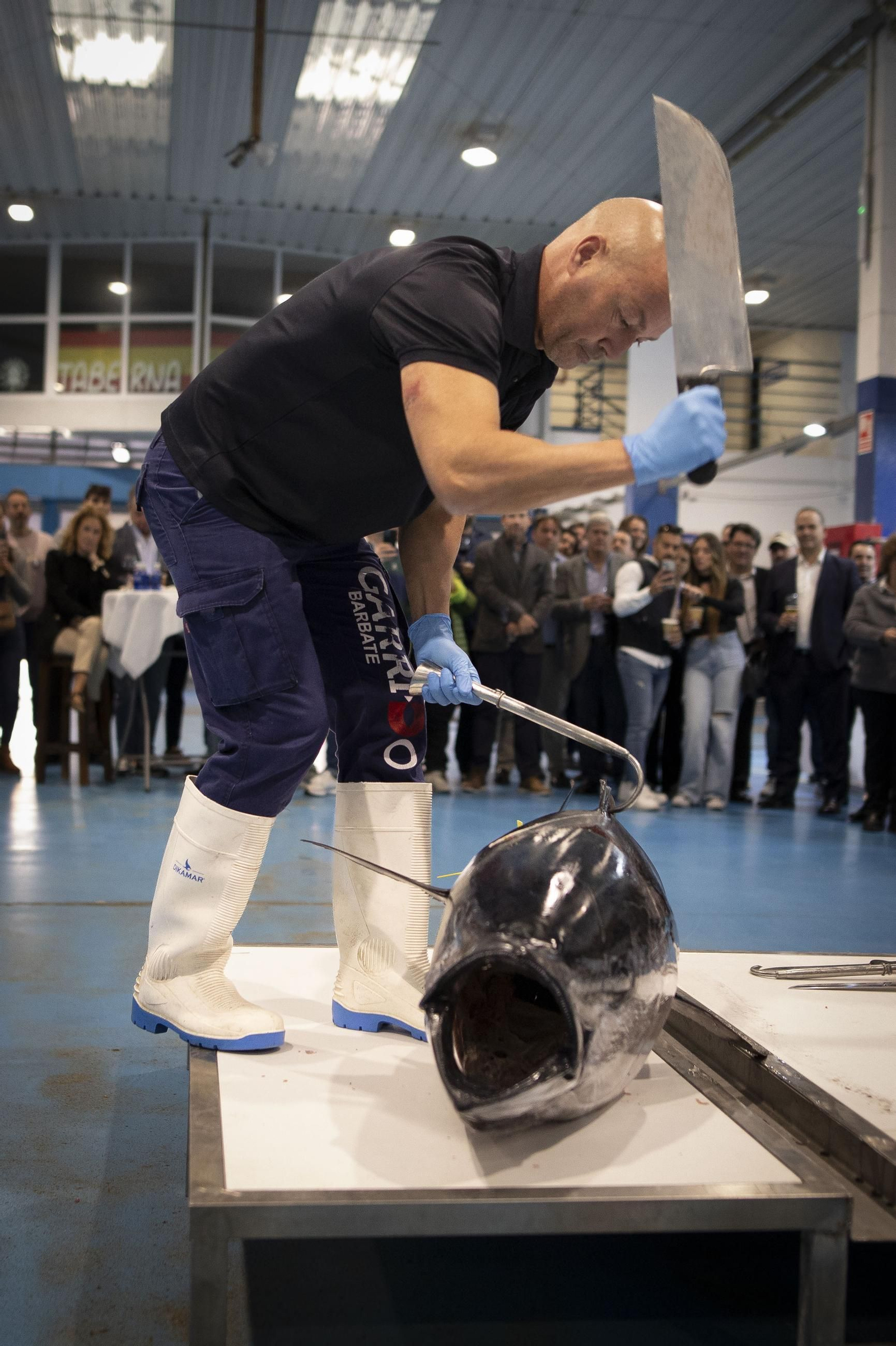 Venir, ver y comprar: las imágenes del ronqueo del atún en Granada