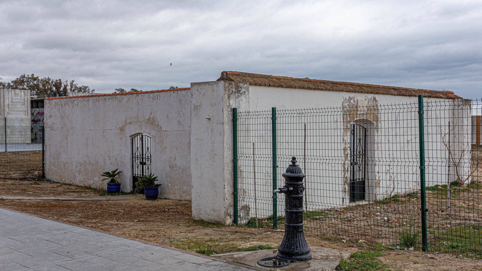 Vista general. Es evidente su pequeño tamaño.