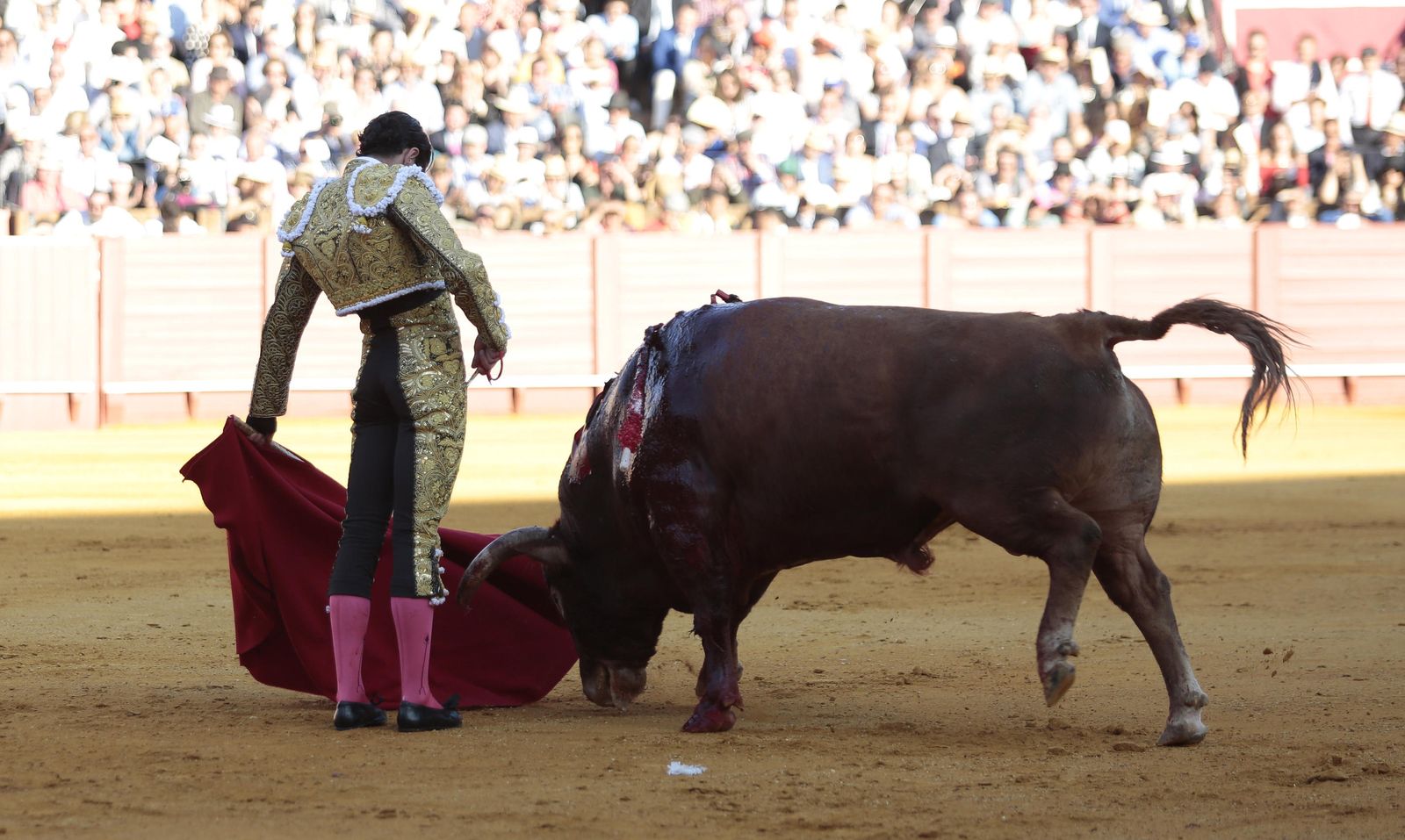 La novena de abono en la Real Maestranza de Sevilla