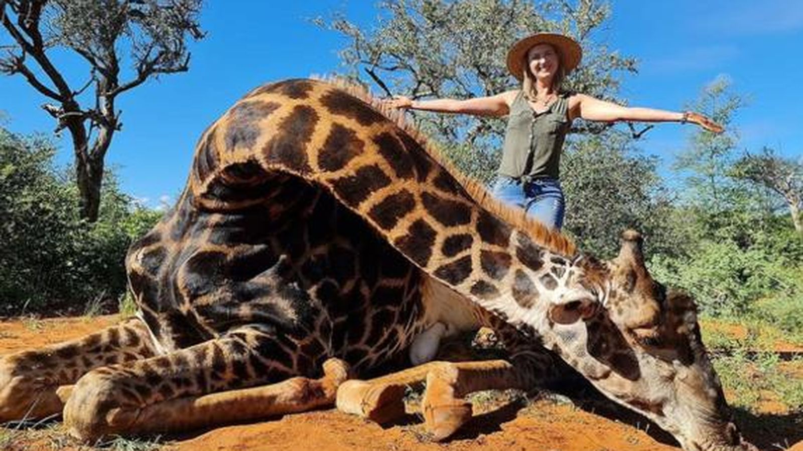 La sudafricana con la jirafa muerta en el suelo