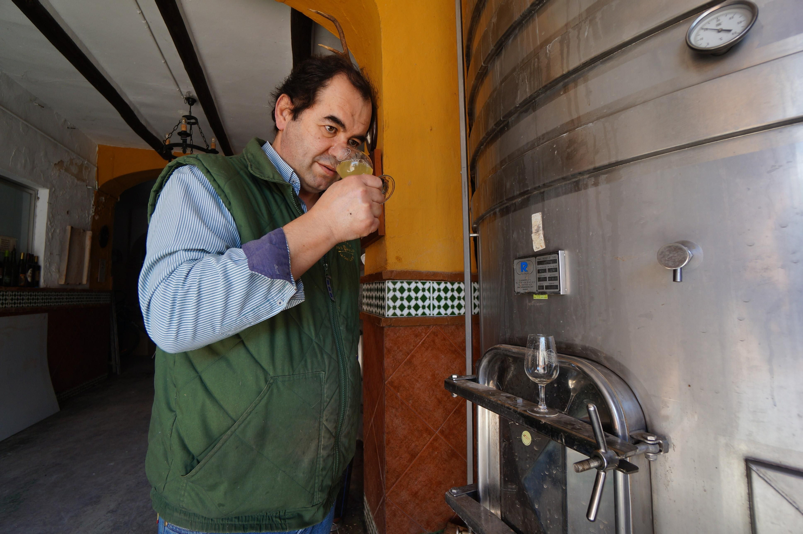 Un recorrido en fotografías por el vino nuevo de Moriles