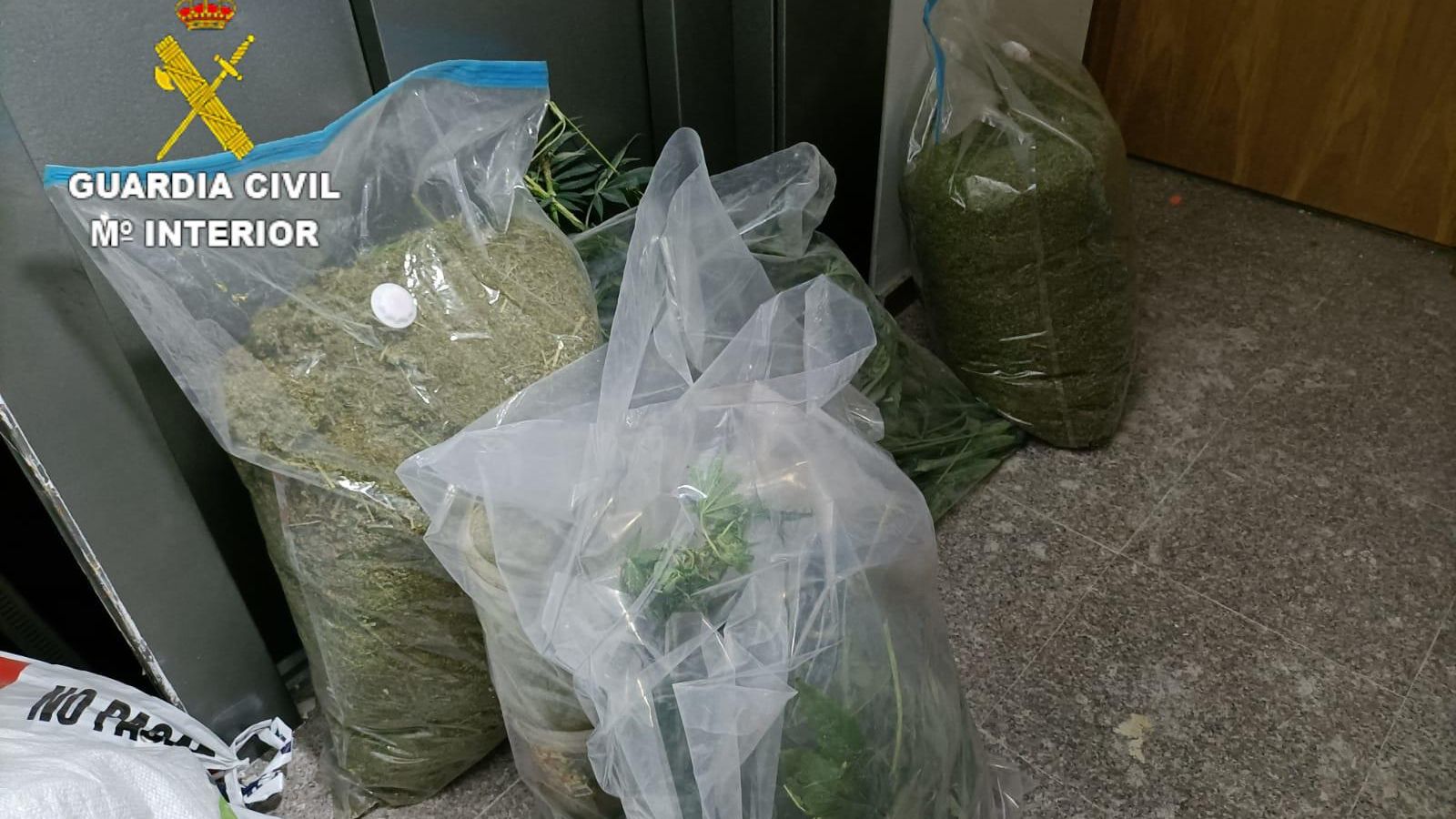 Droga localizada en el inmueble.