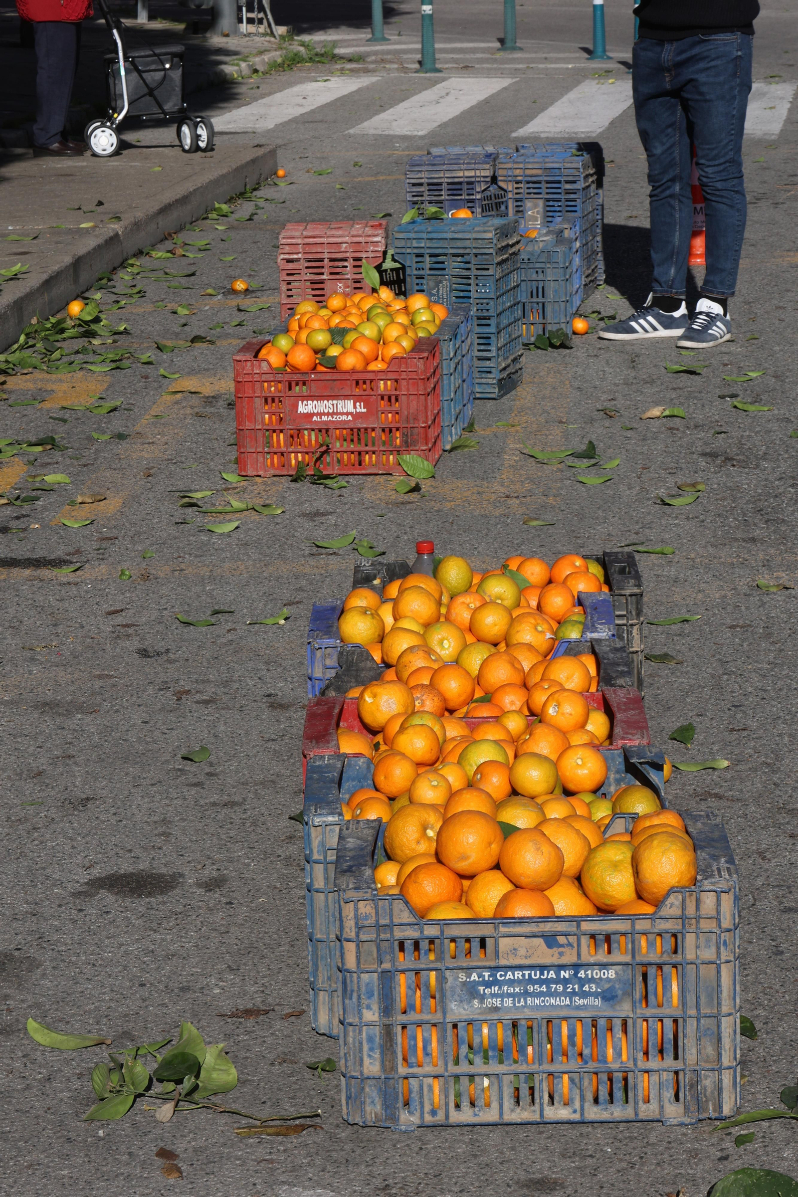 Recogida de la naranja de las calles de Sevilla