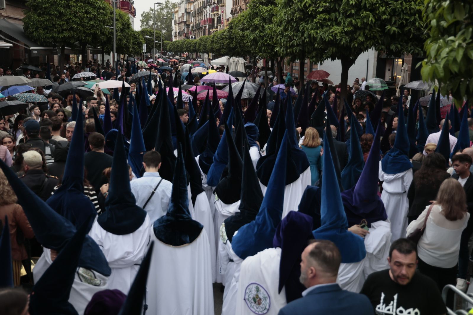 Las imágenes de la hermandad de La Estrella
