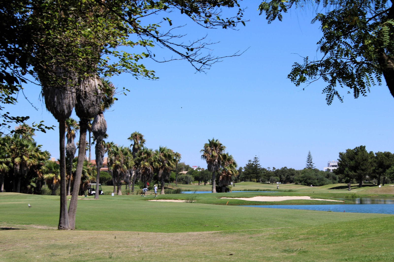 Campo de Golf de Costa Ballena, en Rota..JPG Campo de Golf de Costa Ballena, en Rota..JPG